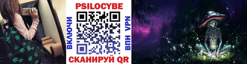 купить  цена  Богородск  Галлюциногенные грибы Psilocybine cubensis 